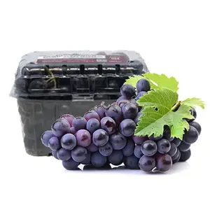 New 2026 Crop Red and Green Seedless Fresh Grapes Ready to Export