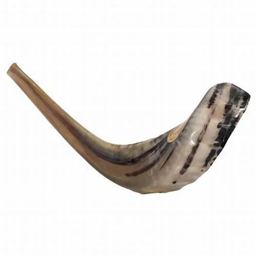 Natural Ram Horn Shofar Natural Horn Shofar For Blowing And Religious ...