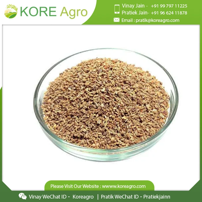 Organic Ajwain Carom Seeds 100% Organic Natural Herbal Product ...