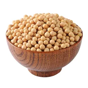 Organic Non-GMO Soybeans High Quality Fresh Soya Beans for Sale