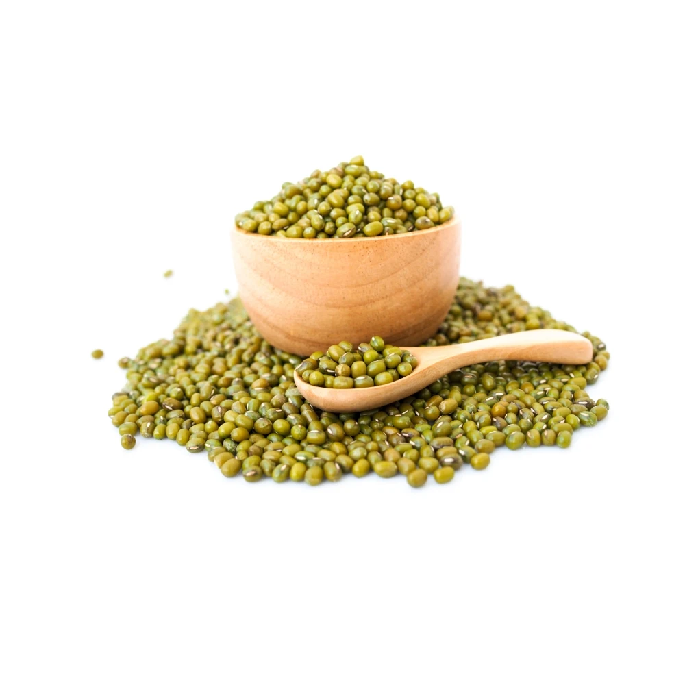 Dried Mung Bean/moong Dal Seed/sprouting Seeds Mung Bean Buy High
