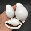 Blanco Leche
