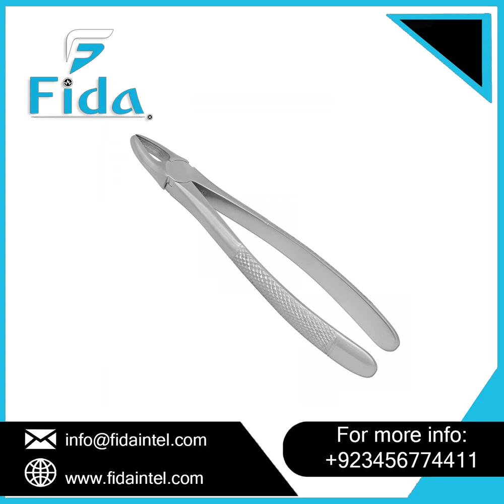 Extraction Forceps Different Size Tooth Dental Instrument Stainless