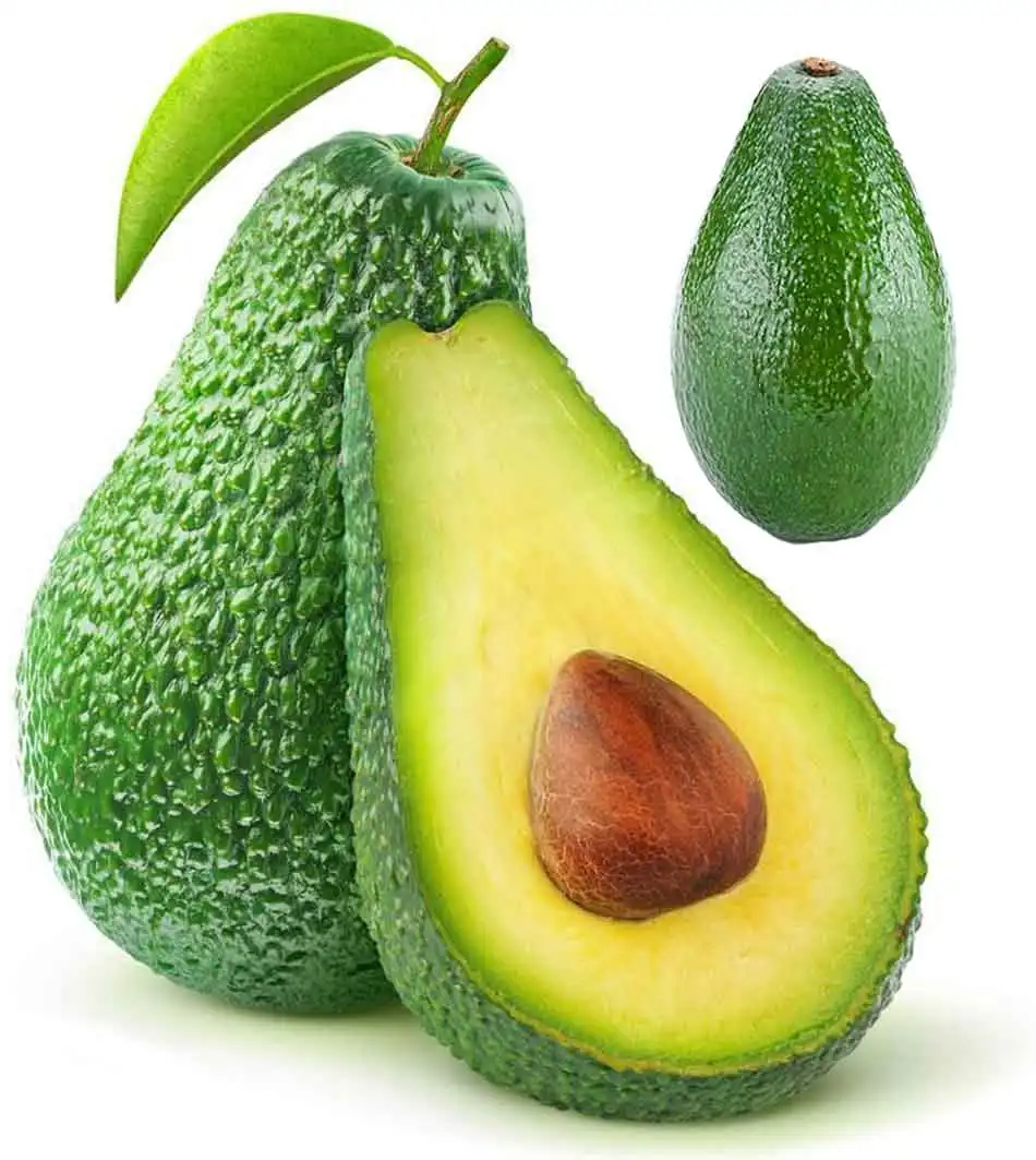 Direct From Producers! High Protein Premium Fresh Frozen Avocados From Vietnam Fuerte Top Grade GMO with Best Price Hot Sale
