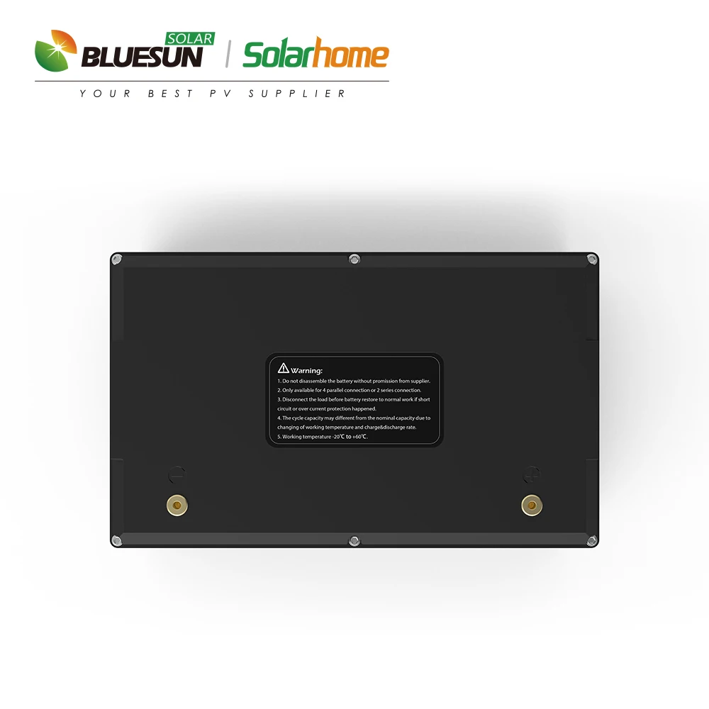 Bluesun Lithium  Battery 60v 48V Customized Solar Battery 2v 12v 300ah 200ah 100ah Energy Storage Battery Price