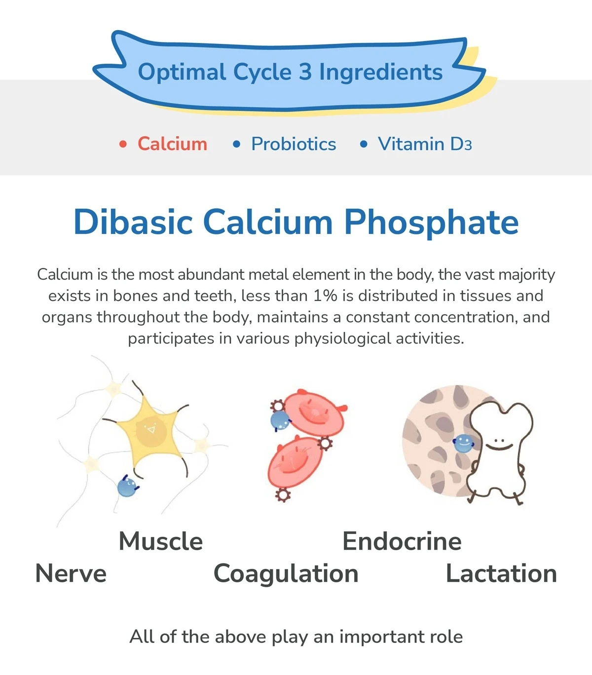 Dog Calcium Old Dogs Calcium Supplement Tooth Development Puppy Dog