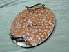 Available in Different Colors