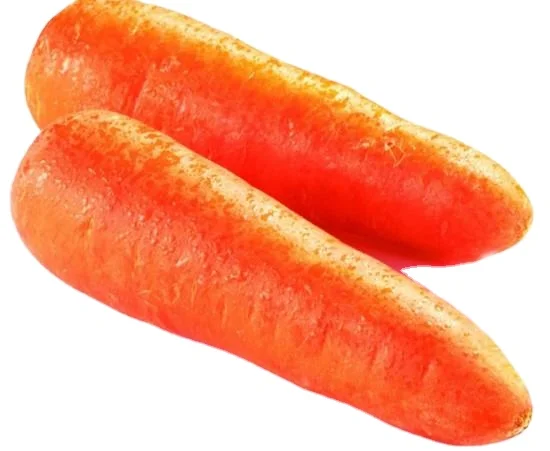 Fresh Carrot Fruit & Vegetable Products Good Price Organic Follow the Customer's Request Made in Vietnam Manufacturer
