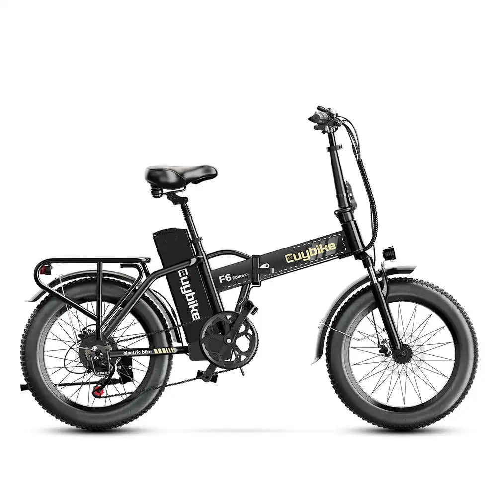 Euy F6 Long Range Electric Mountain Bike with Fat Tire Premium Electric Bike Product