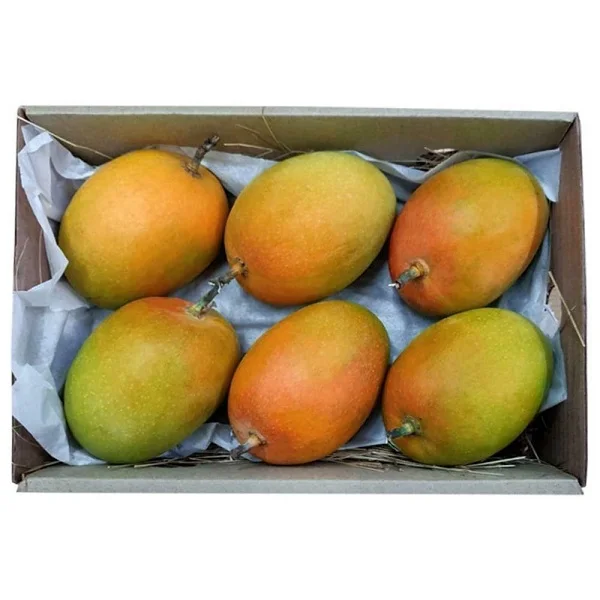 Mangoes....jpg