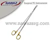 Silver With Gold