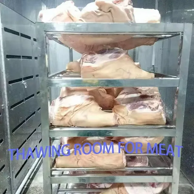 Customized Industrial High Humidity Low Temperature Thawing Machine for Core Meat Processing Lines