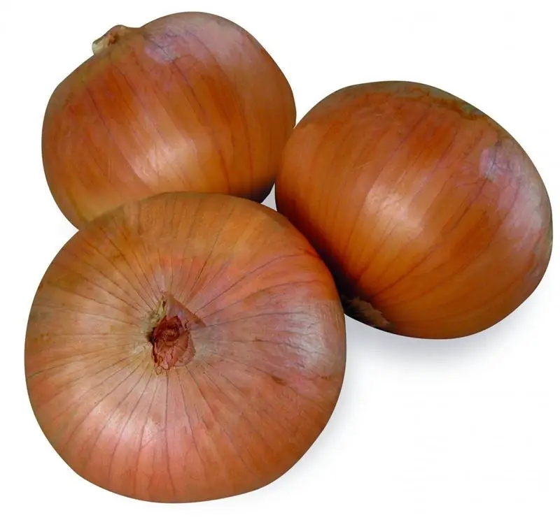 Fresh Yellow Onion/ Brown Onion Non Peeled Onion Price Per Kg Buy Raw Material 20kg 30kg 50kg