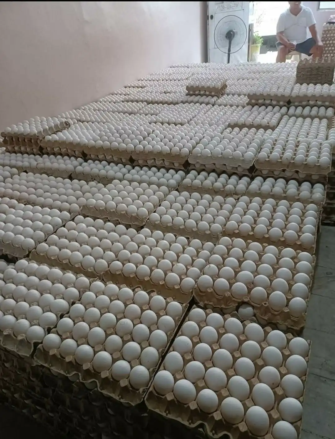 Freshly Stock Brown /white Shell Table Eggs For Sale At Wholesale Price