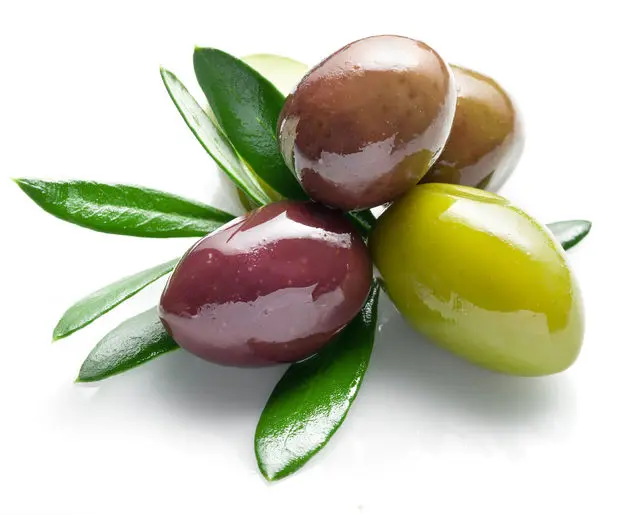 Mini Olive Oil Extraction Machine Cold Pressed Olive Oil Machine Manufacturer for Small Business Best Organic Olive Oil Machine