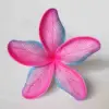 SC04