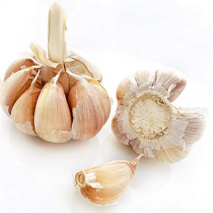 Fresh White Garlic/natural Garlic Wholesale Price /fresh Peeled Garlic