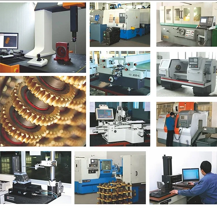 Manual and Electric Worm Gear Screw Jack Worm Screw Lift Reducer Types of Lift Machine