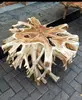 Blanqueo de raíz de teca