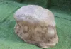 Sandstone