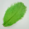 Vert pomme