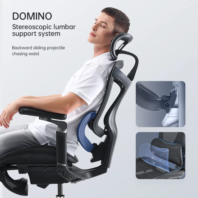 Sihoo C300 High Quality Back Mesh Fabric Swivel Computer Desk Chair Luxury Ergonomic Gray Office Chairs With Headrest