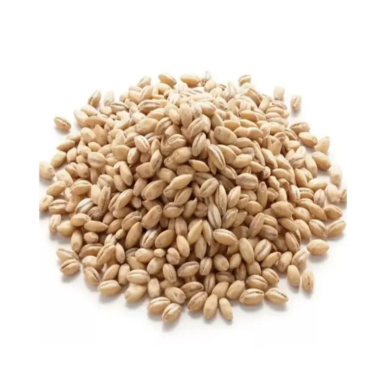 bar4.png