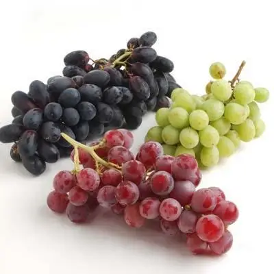 Grapes6.jpg