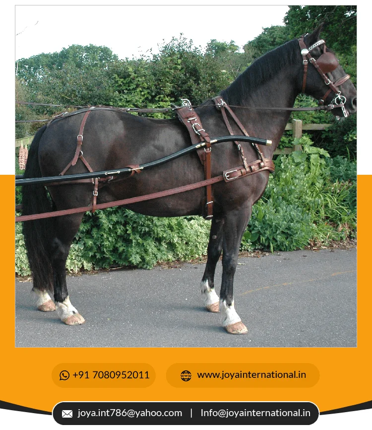 Single Harness Quality Leather Harness Made For Comfort Wholesale Price