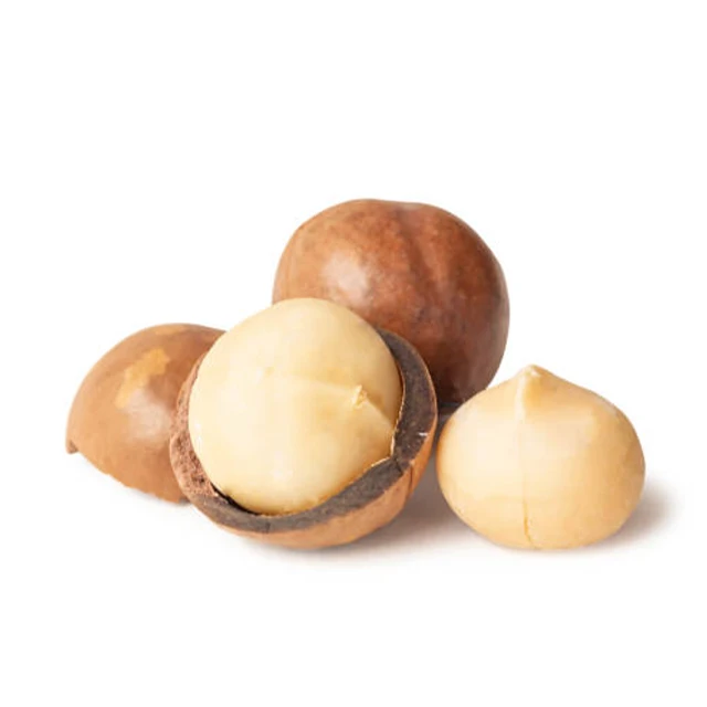 Austria a Grade Organic Macadamia Nuts Roasted and Dried White and Black 15-20kg Raw Macadamia Nut Bag Packaging for Food Use