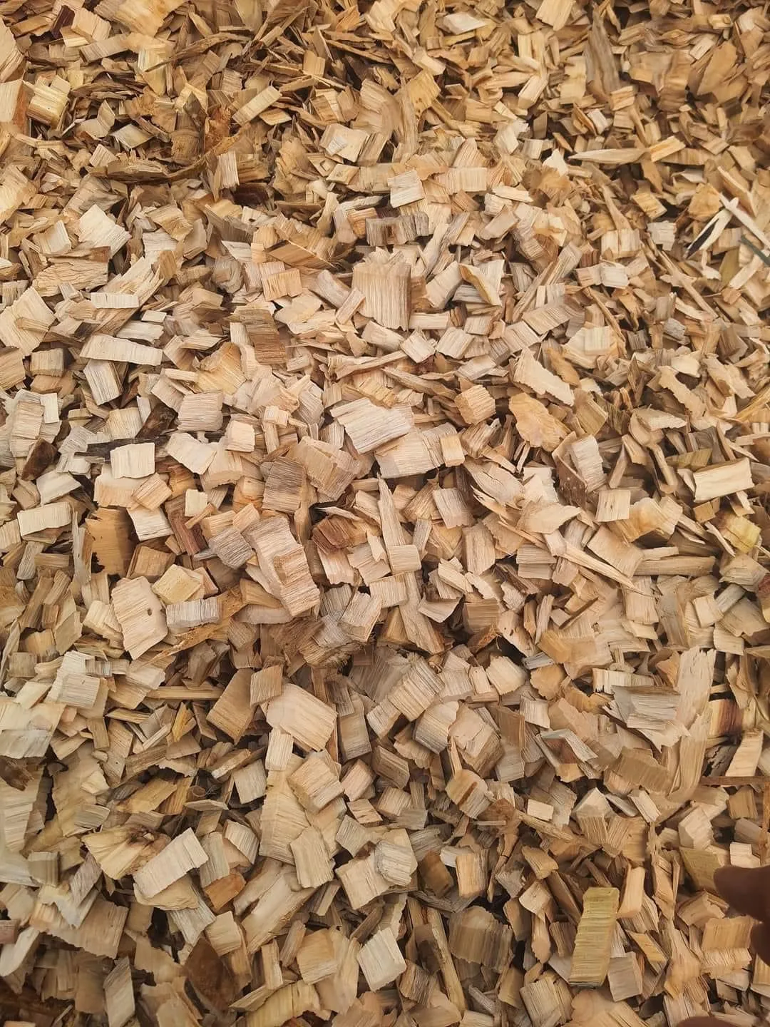 New Wood Chips 15kg Bags Tons Acacia Pine Eucalyptus Wooden Pellets