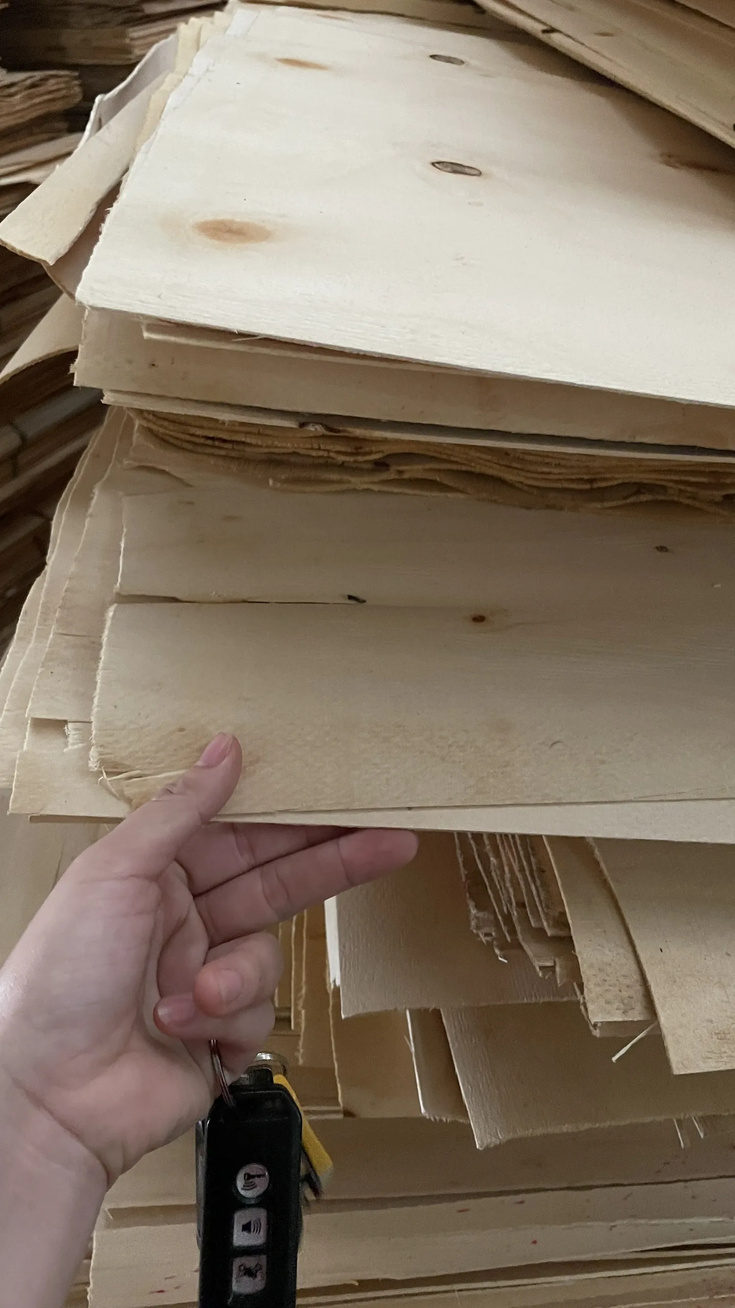 Best Price Laminated Marine Melamine Plywood Phenolic Film Faced