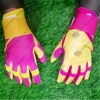 Yellow & Pink Color Combination