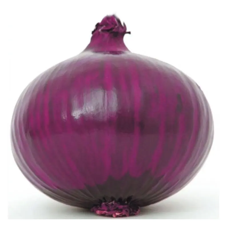 onions n.jpeg