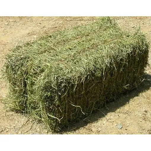 Great Quality Alfalfa Hay/Timothy Hay Green Color High in Fiber