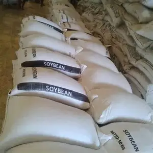 High Quality Soybean / Soya Bean for Sale Sprouting Yellow Soybean NON GMO Packaged Organic Dried High Protein