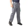 Grigio