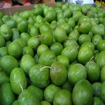 Fresh Olives Green Top Quality Wholesale Fresh Black Fresh Green Olives For Sale Fresh Raw Olives
