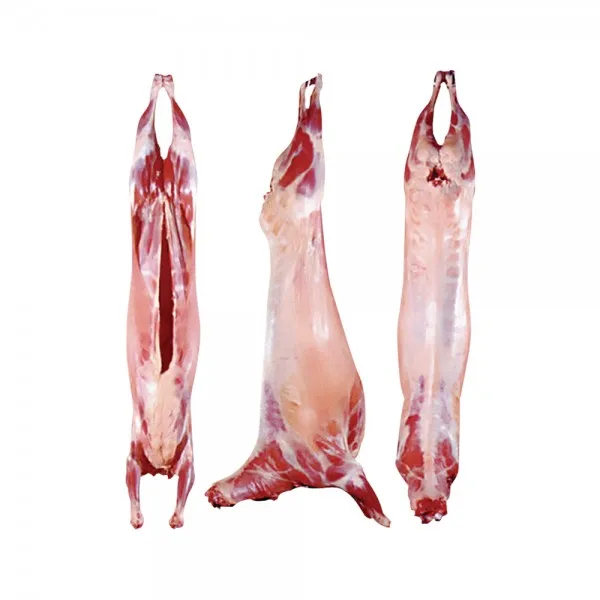 2023年1月肉类及家禽行业人气榜(阿根廷)