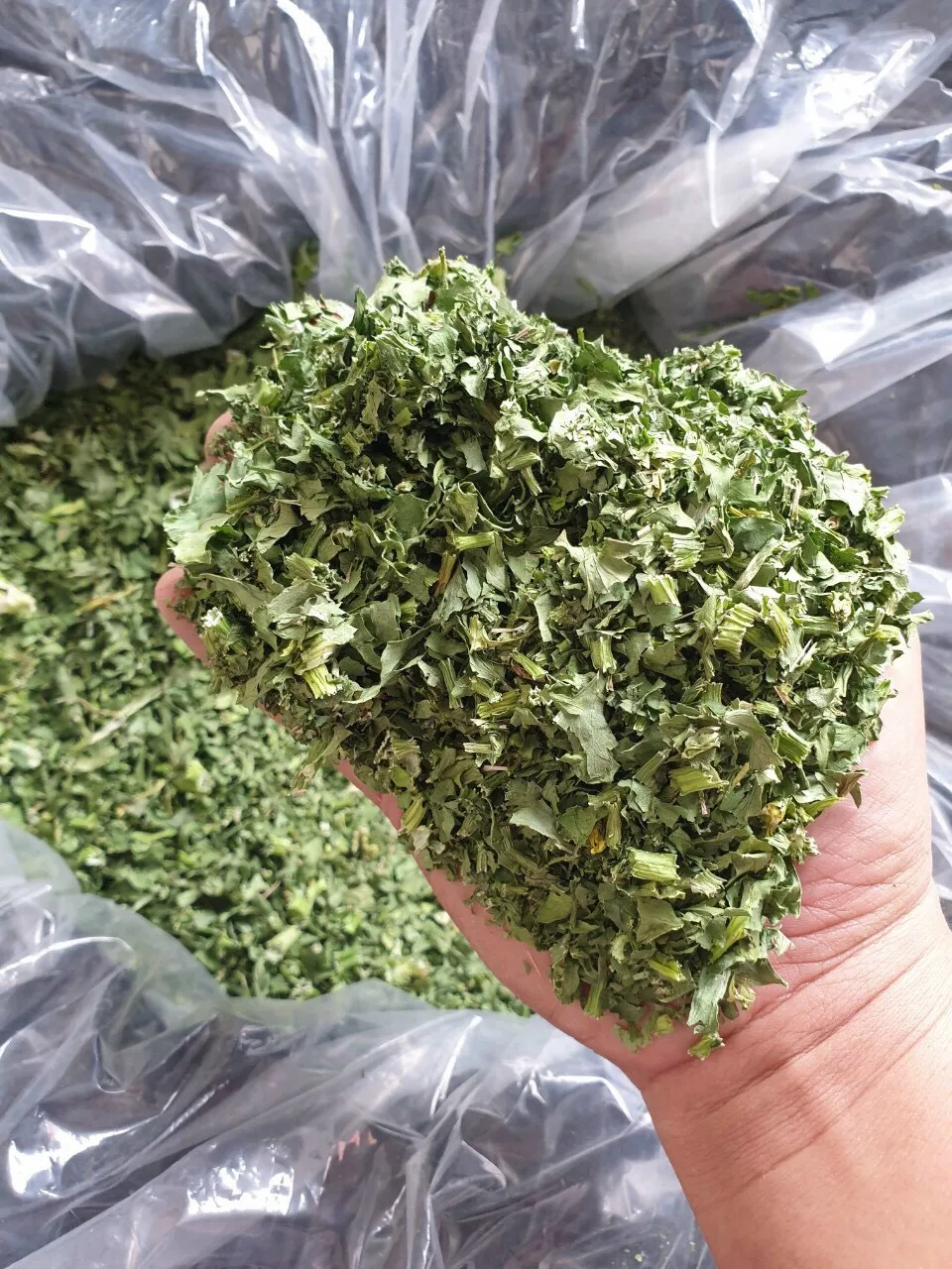 Ground Dried Celery Flake for Food Ingredient and Dressing Organic Vegetable Air-Drying