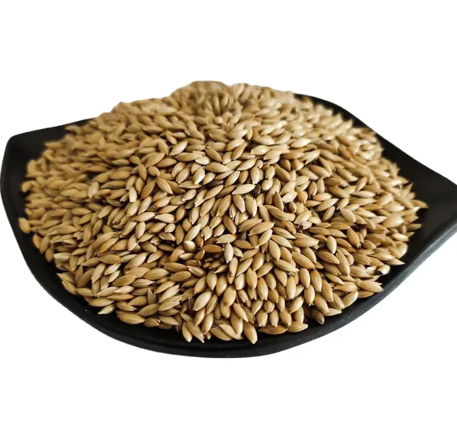 Wholesale Price Of Healthy Food Natural Organic Bird Feed Canary Kernel