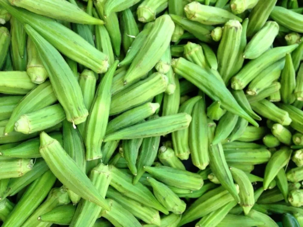 Fresh Okra6.png
