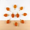 Carnelian