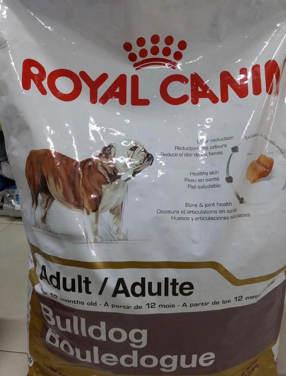 Buy Royal Canin Cat Food Buy Royal Pet Food,Royal Canin,Bulk Dry Cat