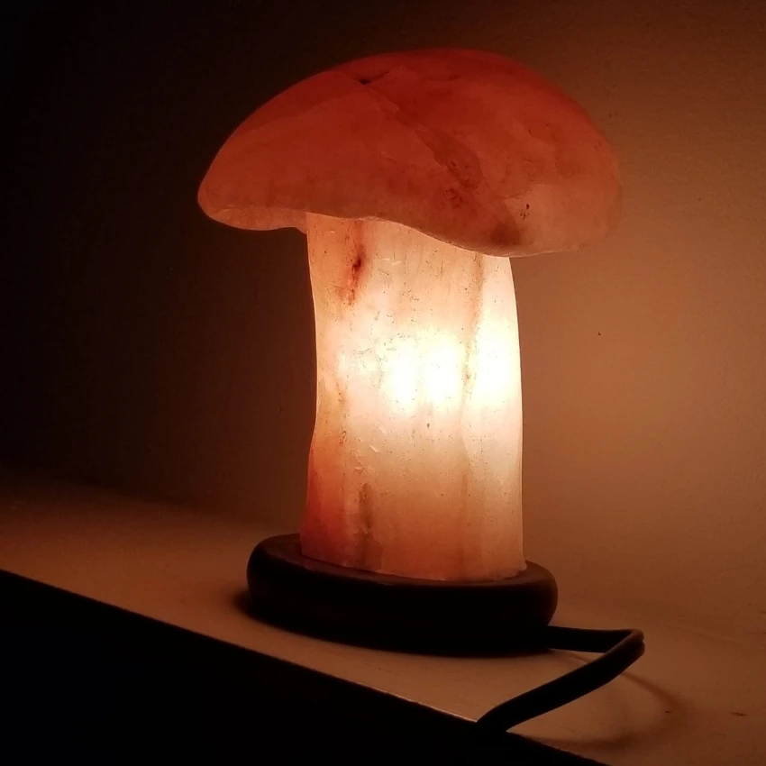 Wholesale 2024 Oem 100 Crystal Mushroom Shape Salt Lamp With Curved