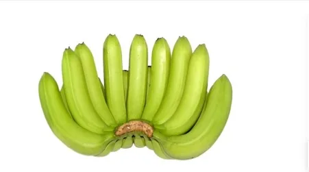 Organic Cavendish Banana High Quality Fresh Sweet Green-Tropical & Sub-Tropical Fruits Wholesale Factory Price