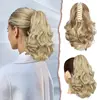 Light Ash Brown & Bleach Blonde