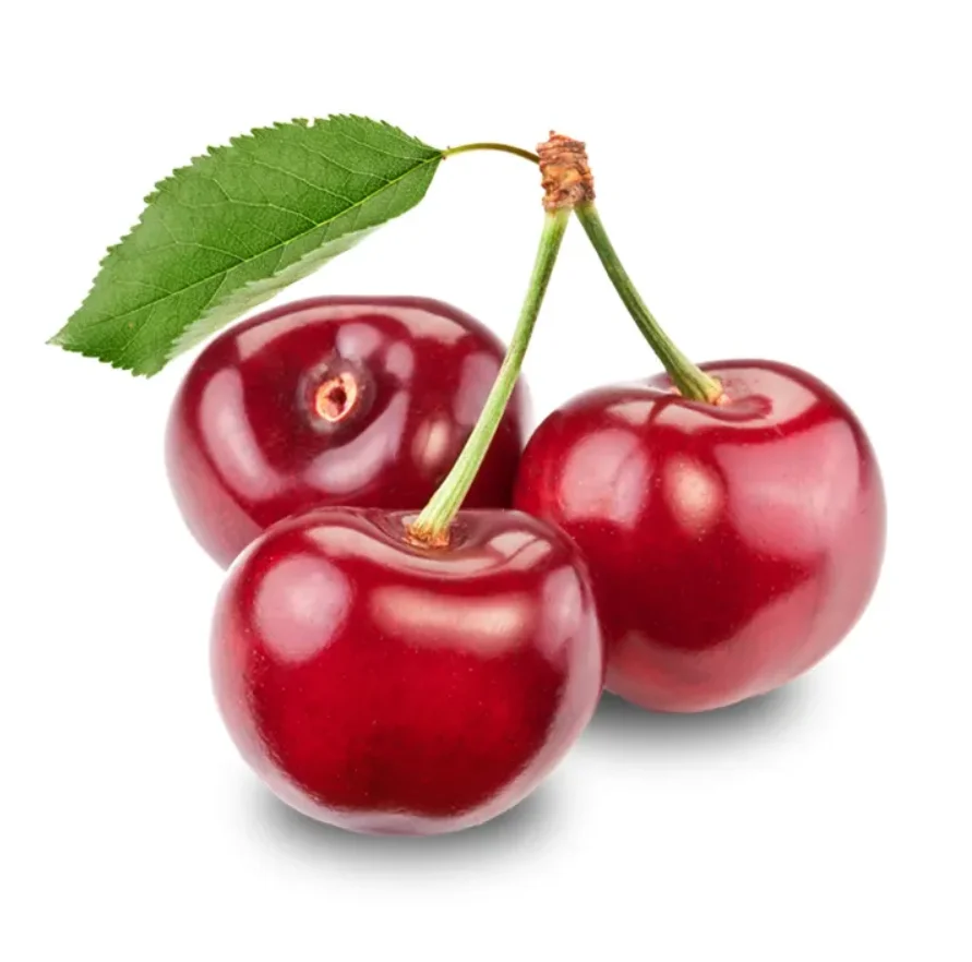 060000 (4).png