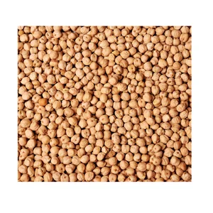 Quality Assured Natural Grains Chickpeas Top Selling Dried White Kabuli Chickpeas / Organic Chickpeas Exporter From India