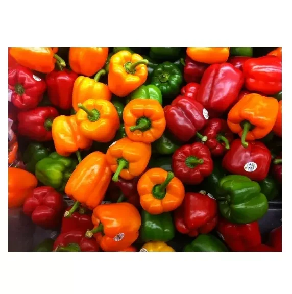 bell pepper 5.jpg